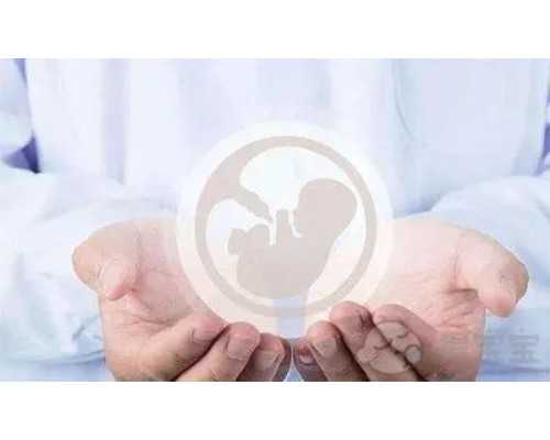 中部战区总医院(广州军区武汉总医院 )