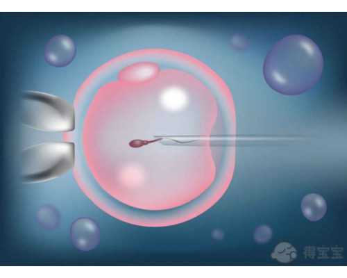 2025邢台试管婴儿医院排名一览内附试管全部流程