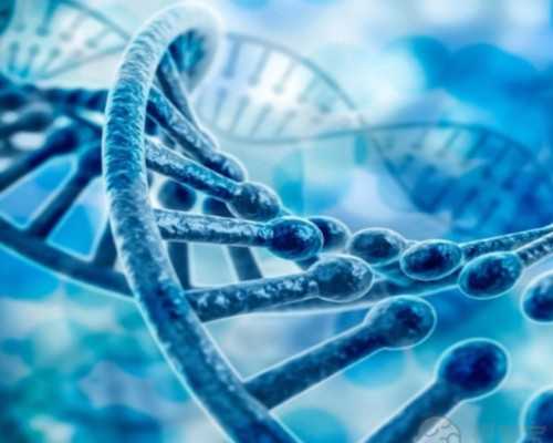 试管婴儿医生知道胚胎性别吗，这是真的吗？