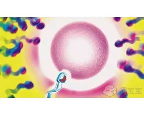 宫颈疫苗的药叫啥