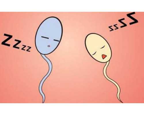 2025济南试管婴儿医院权威排名,Top10医院名单推选！