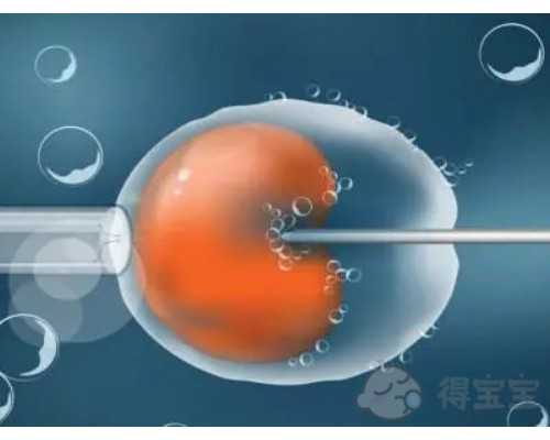 供精试管婴儿捐精条件 哪些人能做供精试管