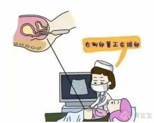 古田县疫苗站电话