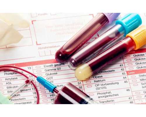 备孕可不可打疫苗