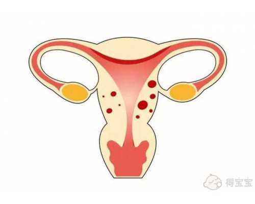 新婚夫妻备孕必知 春季是否适合怀孕呢