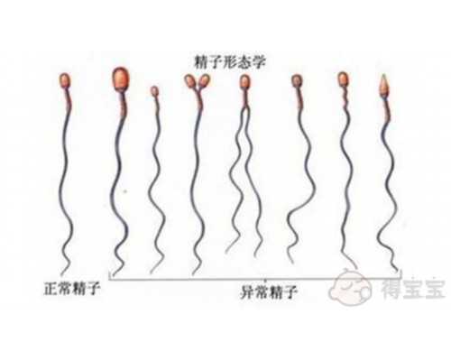 国内疫苗的副作用