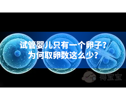 胎梦梦见宝葫芦是男还是女