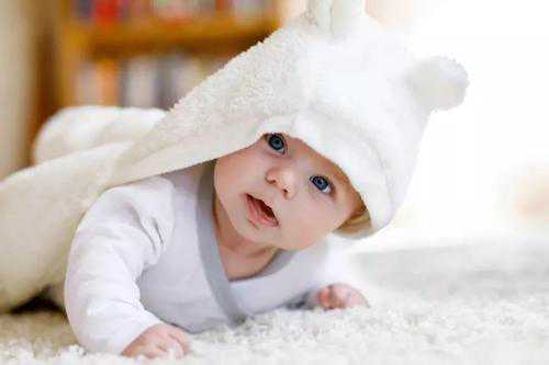 试管基因检测可以筛查哪些疾病?