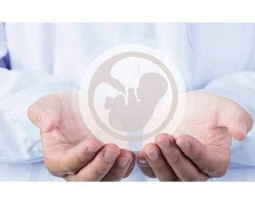 肇庆西江医院试管婴儿（西江医院试管婴儿成功率）