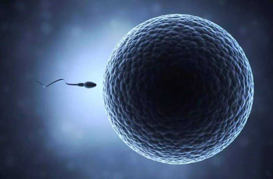 染色体异常做三代试管婴儿基因检测可以筛查出来哪些遗传问题？