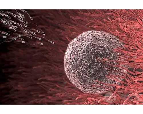 武汉 试管医院排名，协和医院做试管成功率很高！