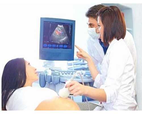 女性在备孕期间吃海马可以帮助怀孕吗？