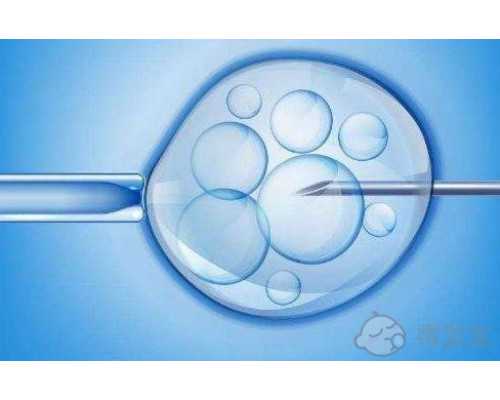 上海试管医院排名前十名的公立三甲医院是哪些？