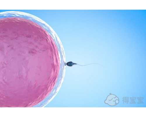 2025年武汉 试管医院推荐，这几家医院收藏起来！