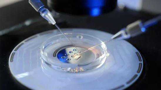 上海三代试管婴儿包生男孩价格是多少？三代试管生男孩医院推荐？