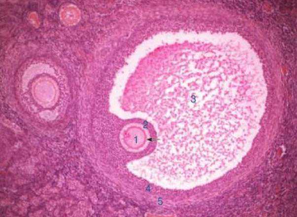 2022最新中国试管婴儿医院排名？附医院详细名单？