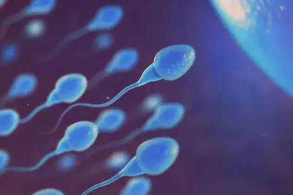 长沙试管婴儿医院成功率排名？附医院成功率明细？