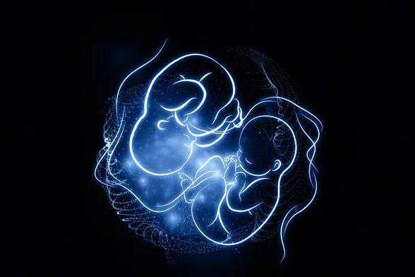 武汉试管婴儿医院成功率排名？来看看哪些医院上榜？